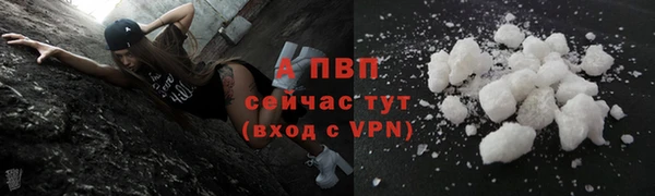 хмурый Абаза