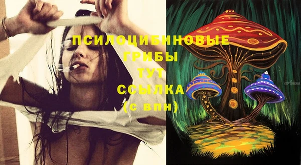 хмурый Абаза