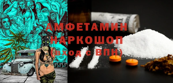 хмурый Алзамай