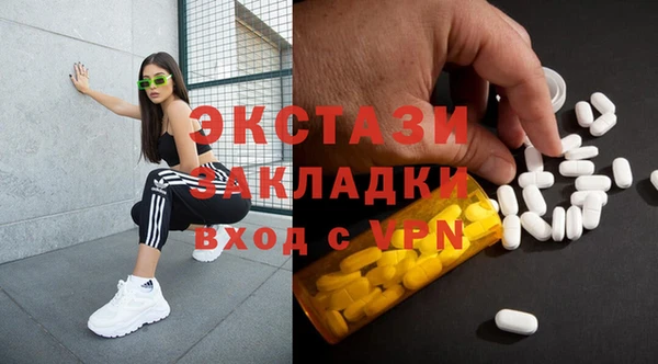 гашик Алексин
