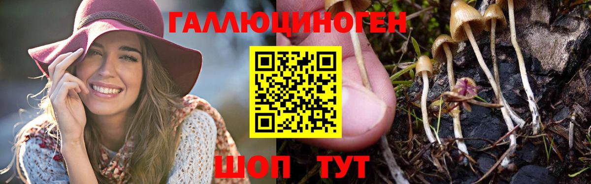 наркота  Псилоцибиновые грибы мухоморы  Вход с VPN  Златоуст 